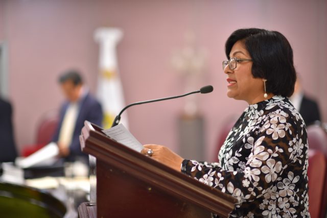 diputada Rocío Pérez